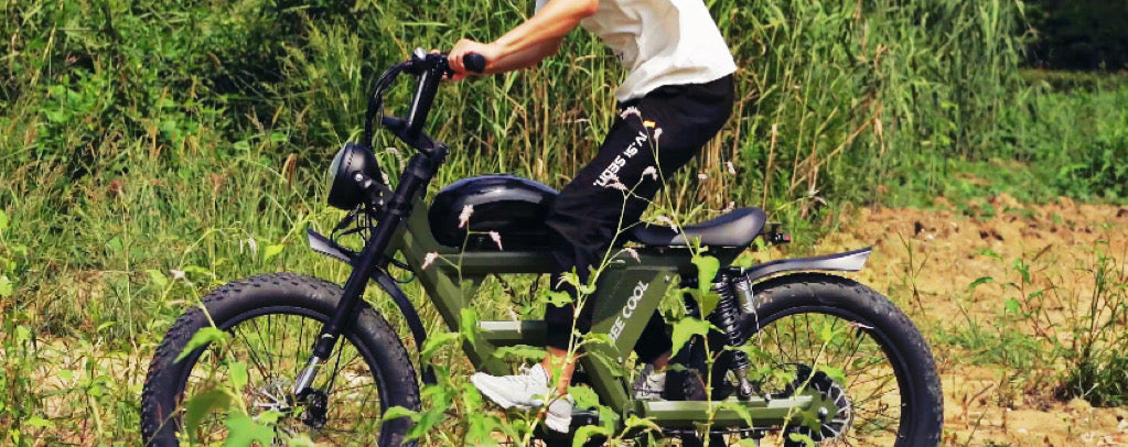 Explore the All-Rounder - Bee Challenger E-Bike by BeeCool Bikes