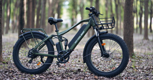 BeeCool Bee Adventurer vs. Rad Power RadRover 6 Plus eBike: A Comprehensive Comparison