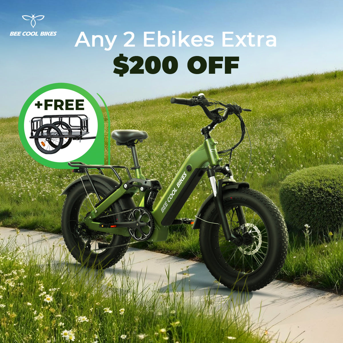 Bee Ranger Electric Bikes From BeeCool Bikes