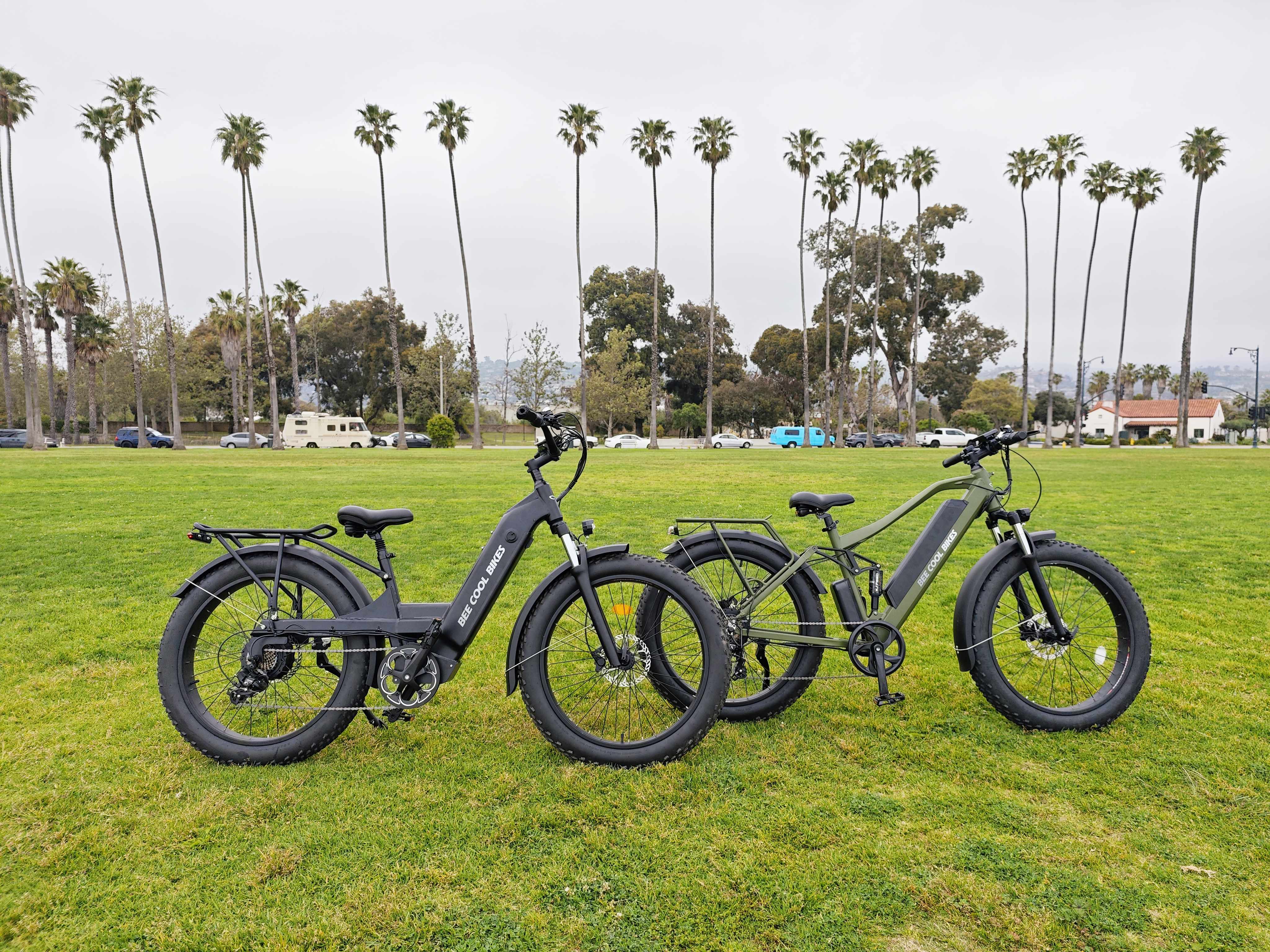 beecool ebikes for great trips