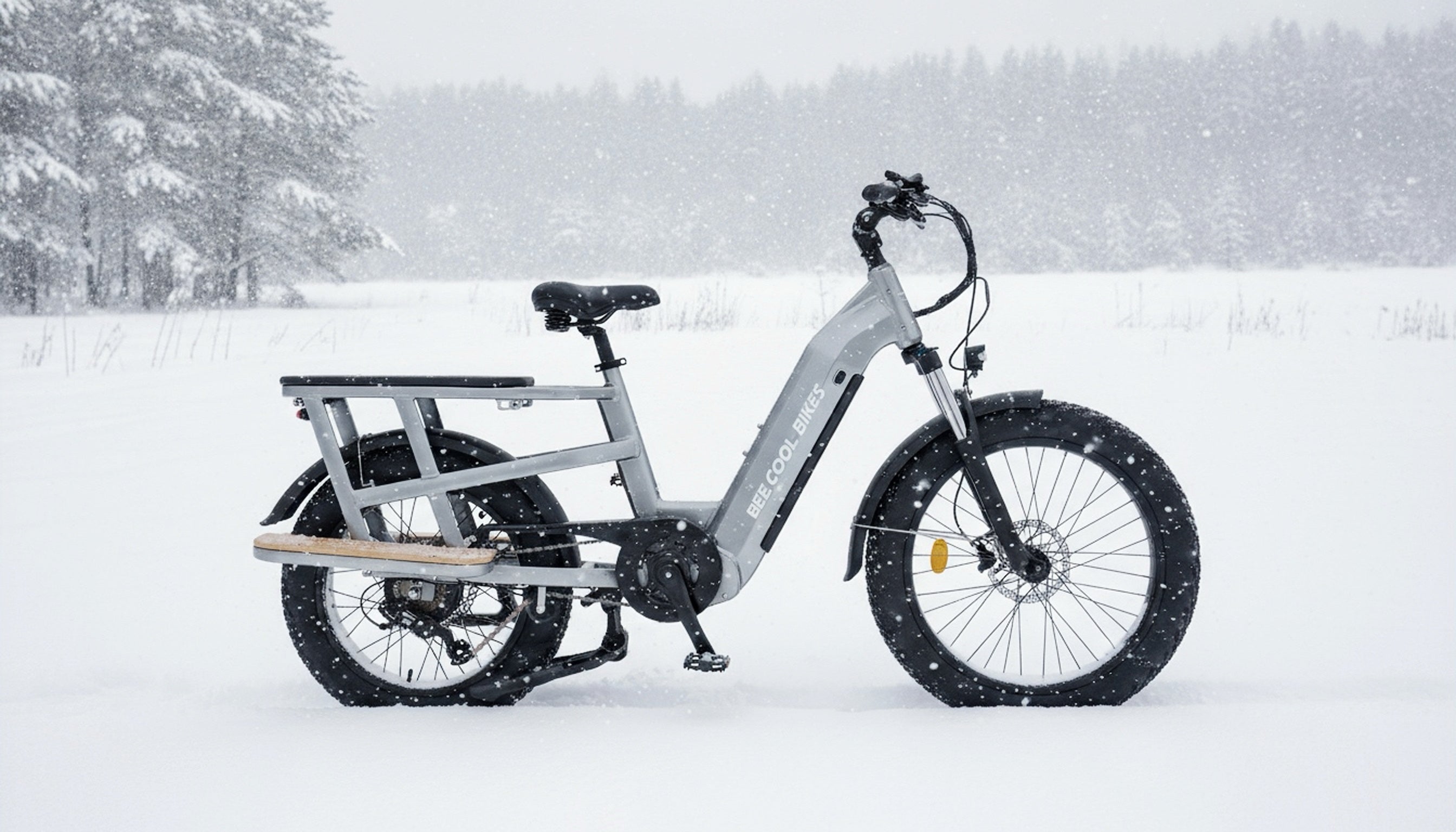 Winter's Impact on E-Bike Batteries: Capacity Loss and Solutions