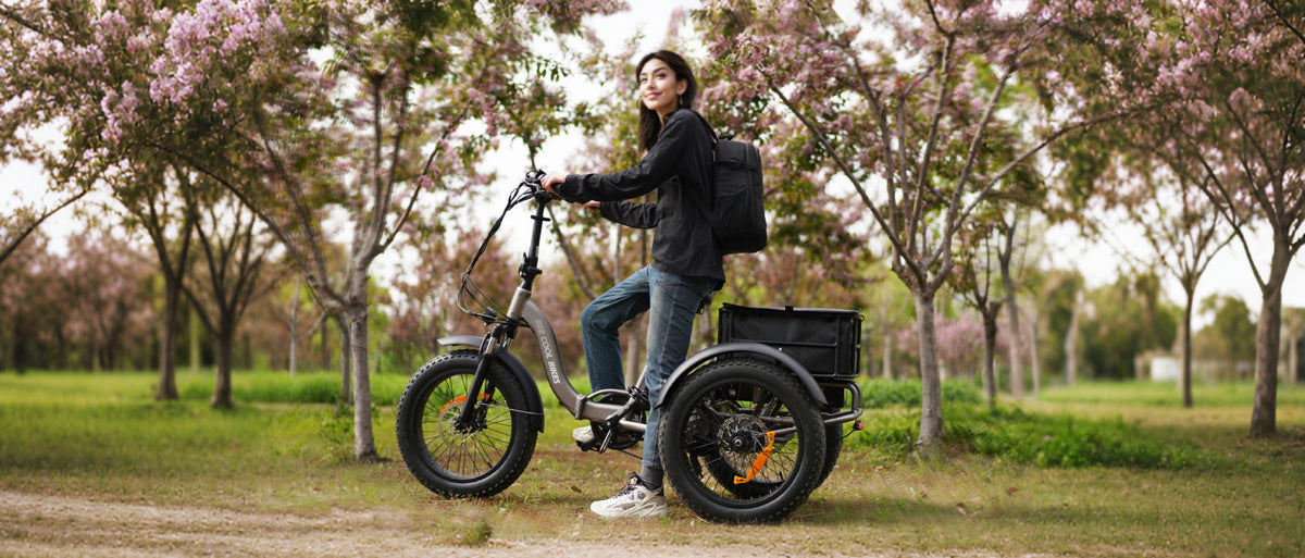 Bee Zipper: The Ultimate Folding eTrike for Power, Portability, and Pe