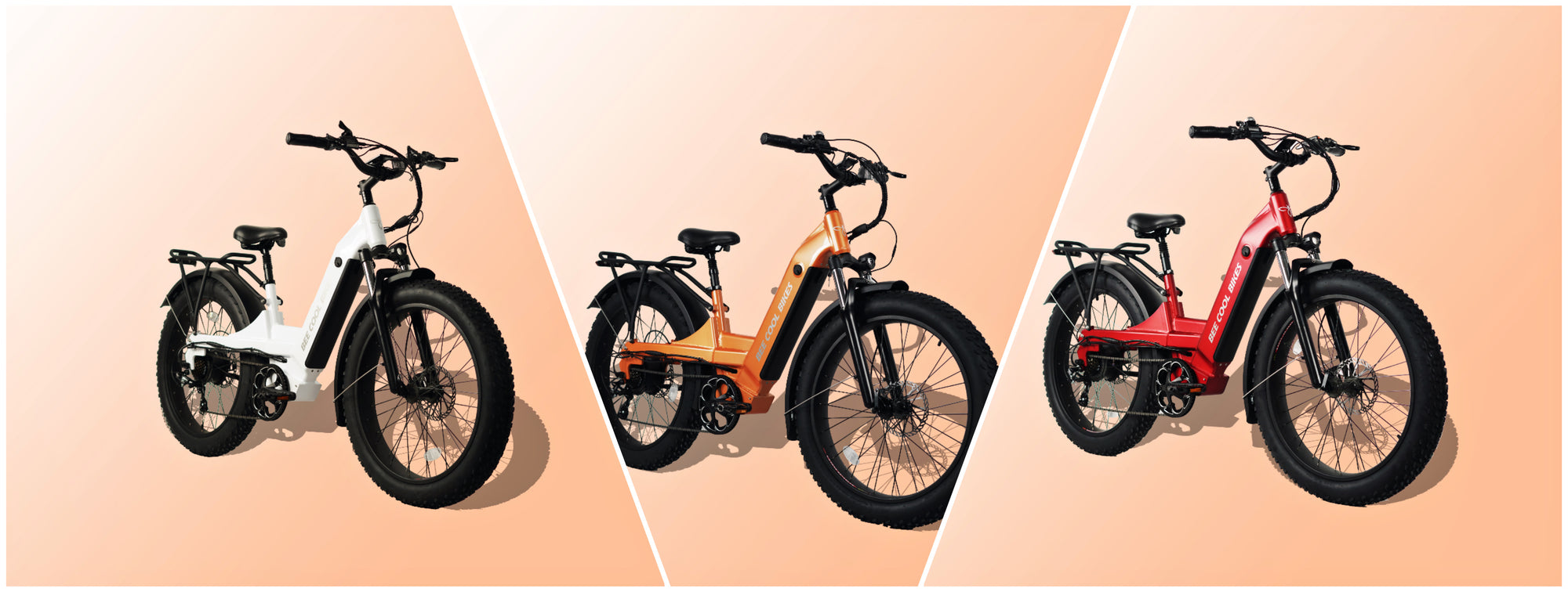 BeeCool Bikes: Stylish Colors for 2024 Leading the eBike Design Trend