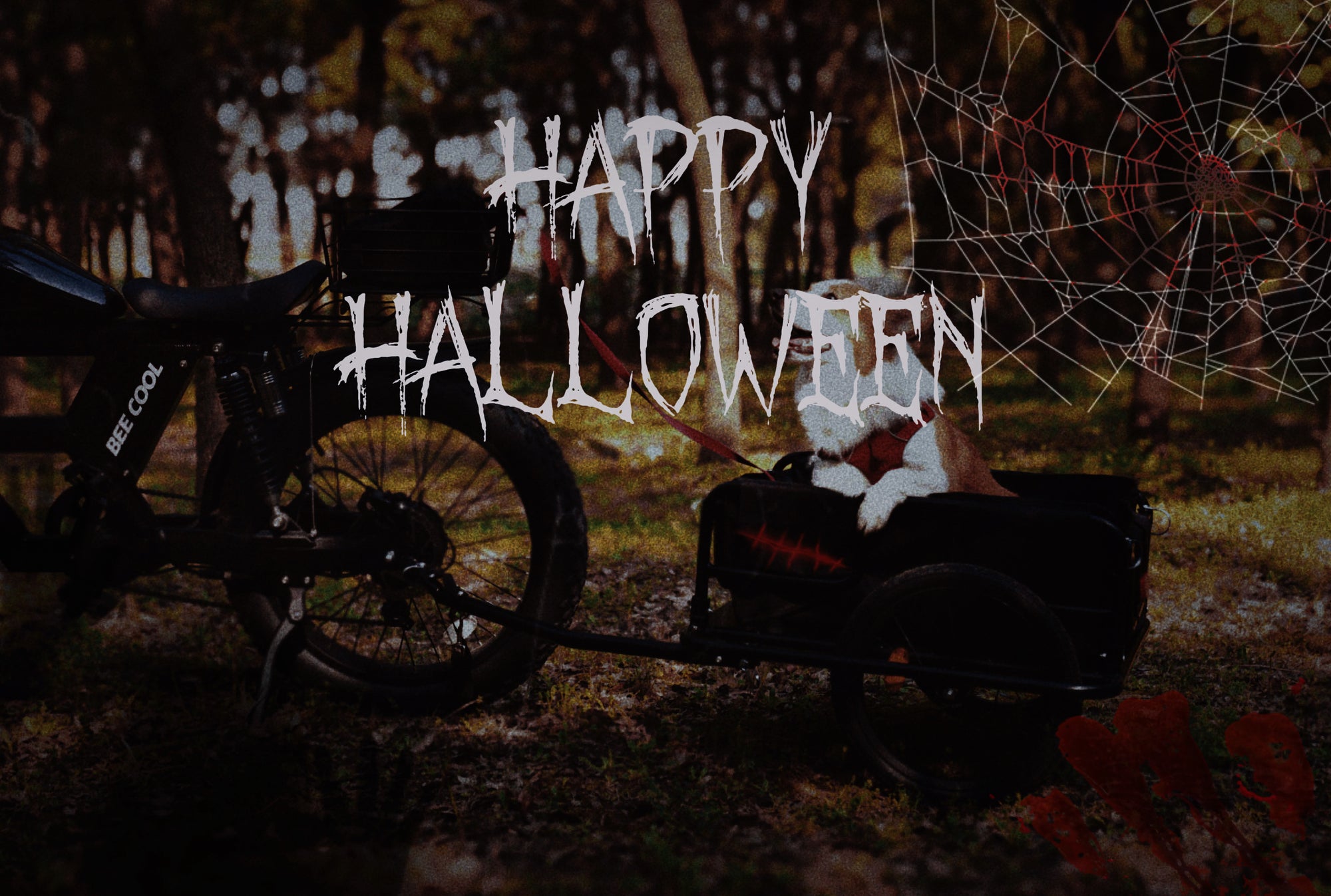 Riding in Style: How a Black eBike Elevates Your Halloween Experience