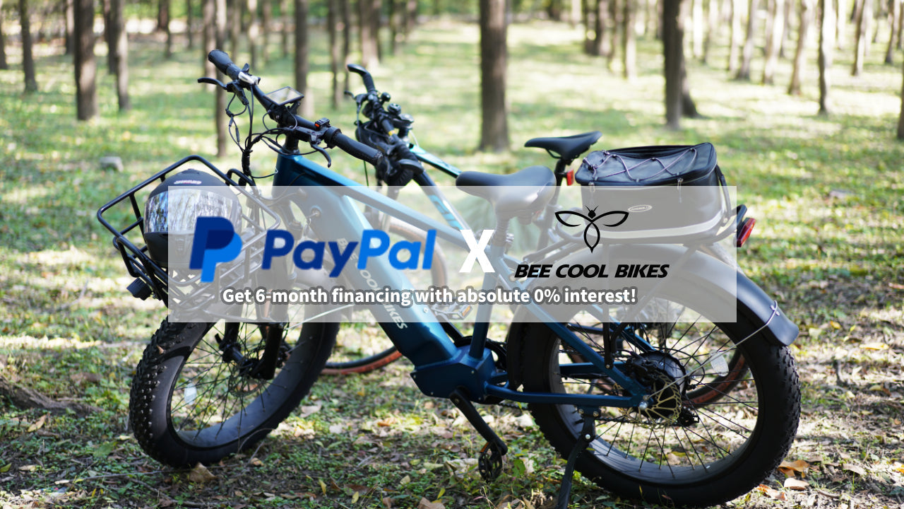 Discover the Unbeatable 6-Month Interest-Free Financing Plan from BeeCool Bikes