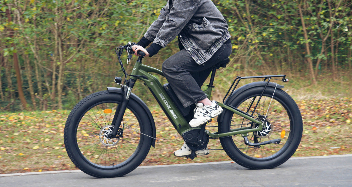 Bee Voyager Full Suspension Dual Batteries Ebike