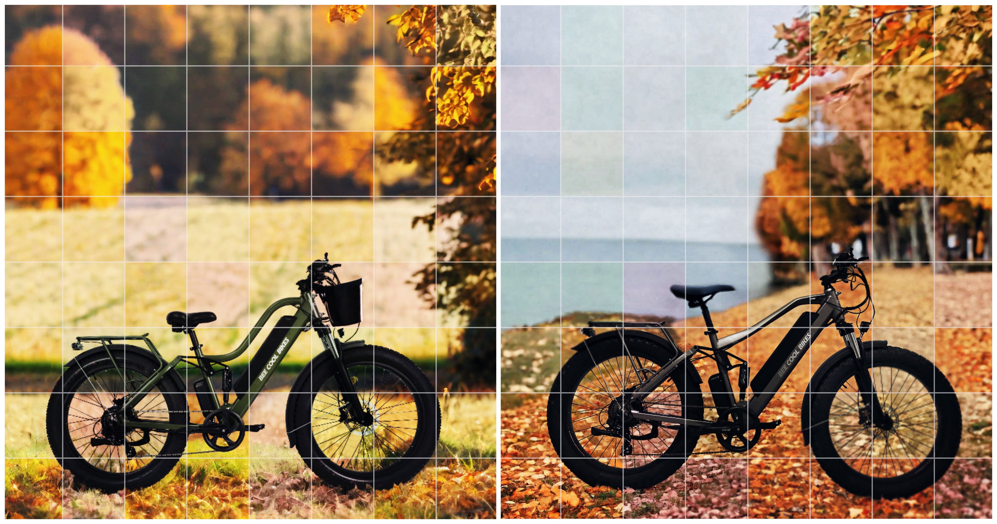 Unveiling Excitement: BeeCool Bikes' Latest Ebike Marvels - Bee Adventurer and Bee Explorer