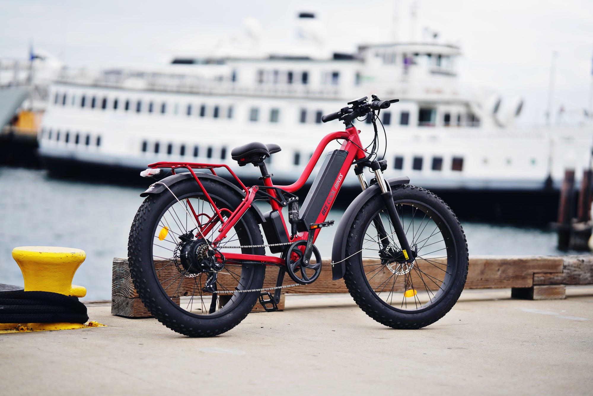 Mother's Day Gift Idea: Give the Gift of Freedom with a BeeCool E-Bike
