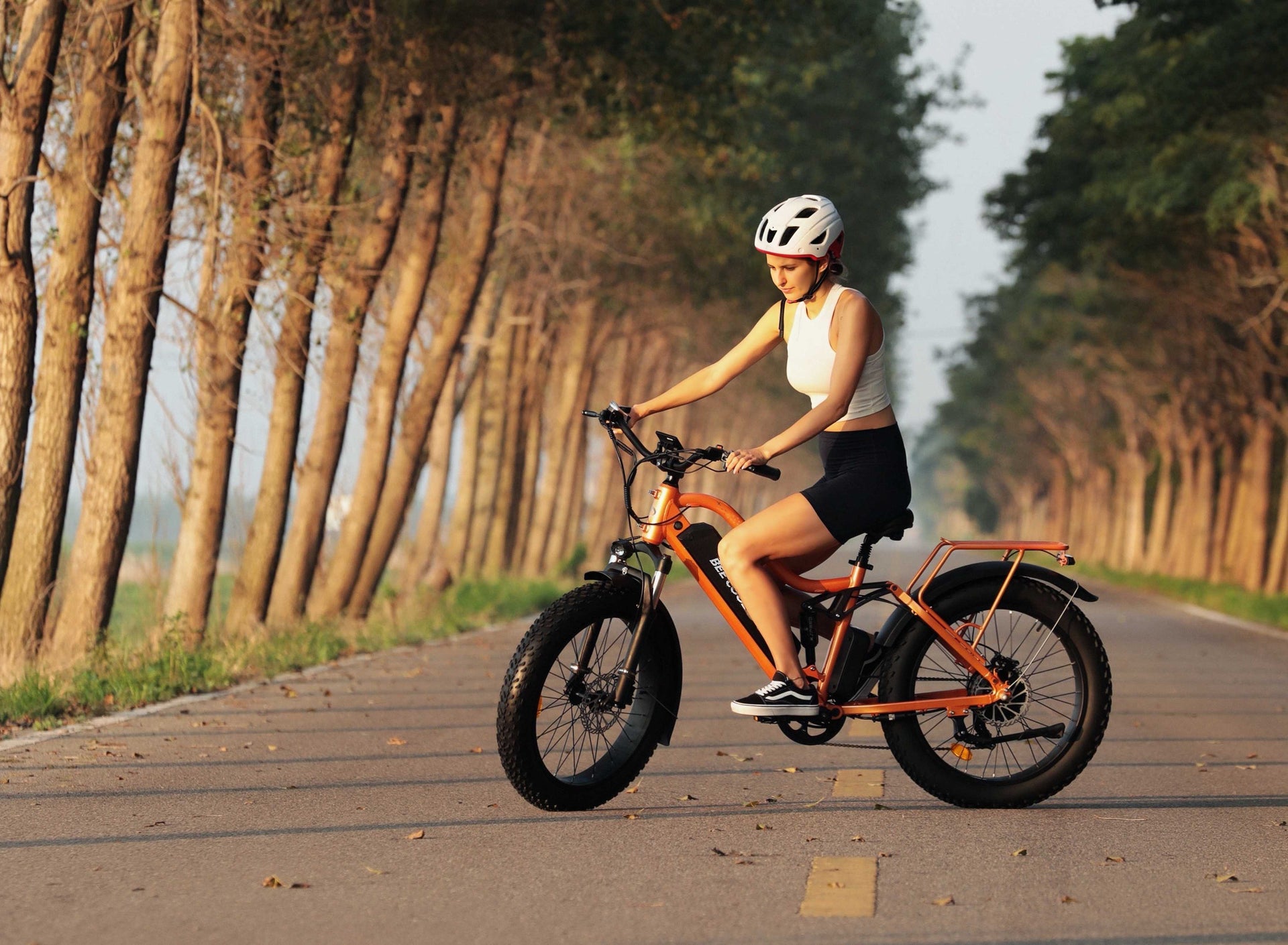 Bee Explorer Fat Tire Electric Bike