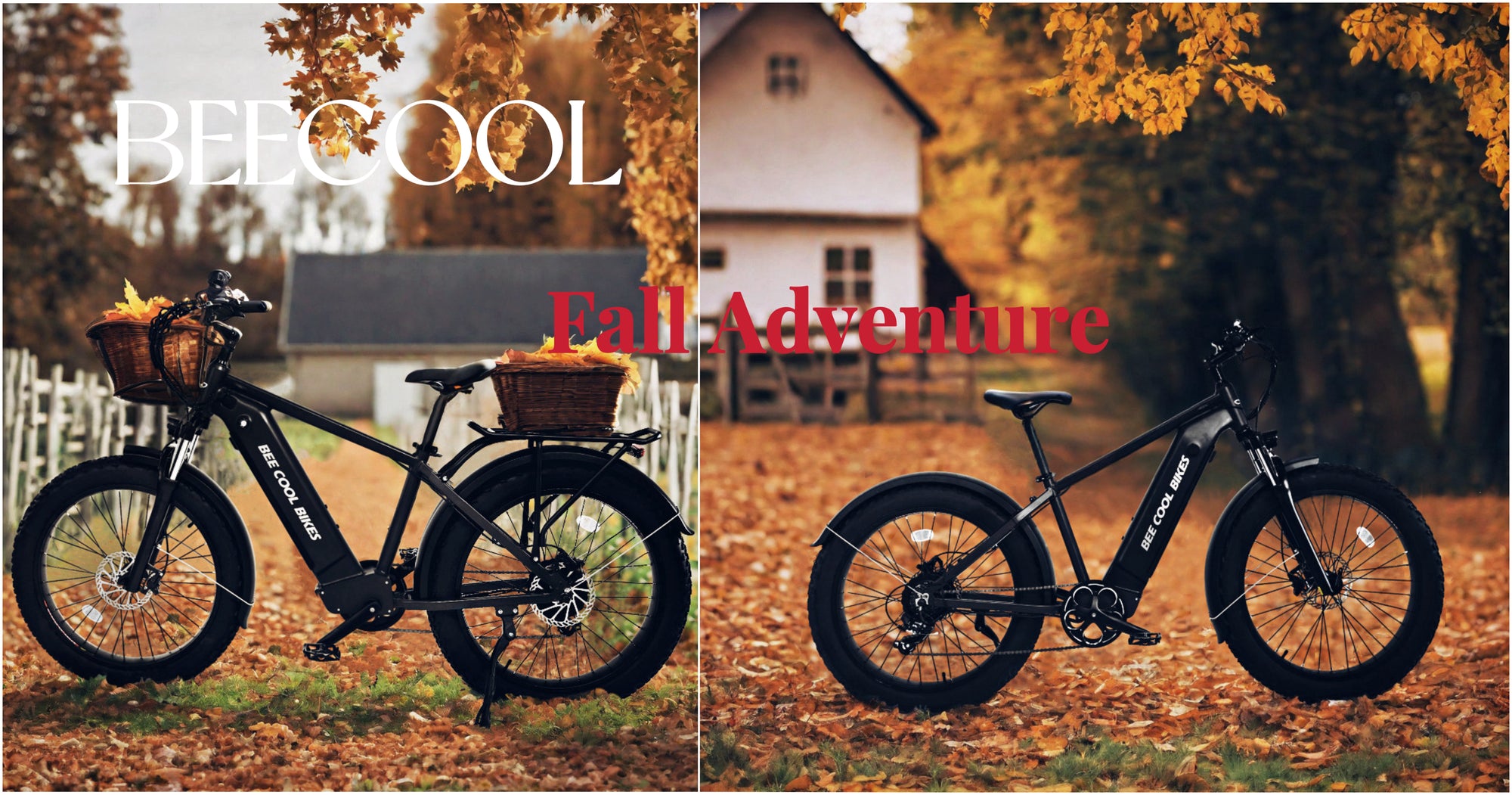 Experience the Ultimate Ride with BeeCool Bikes' Bee Pathfinder Ebike