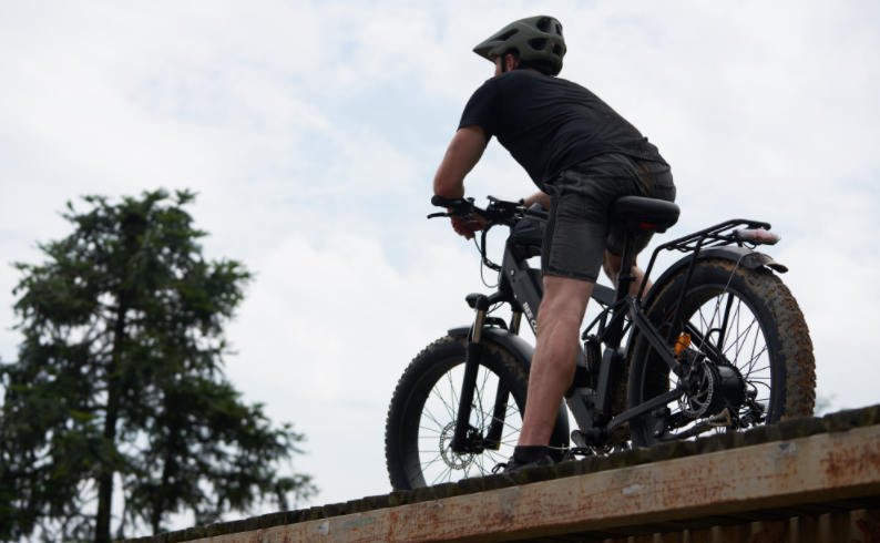 BeeCool's Bee Adventurer VS Lectric's XPeak Series eBikes