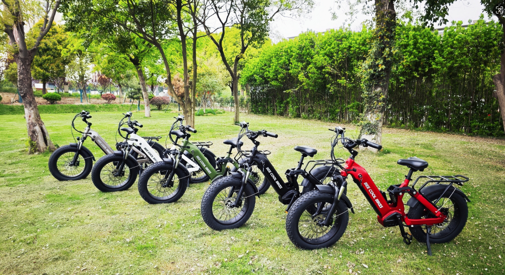 Introducing the Highly-Anticipated 2024 BeeCool Bikes Bee Ranger: A Fa