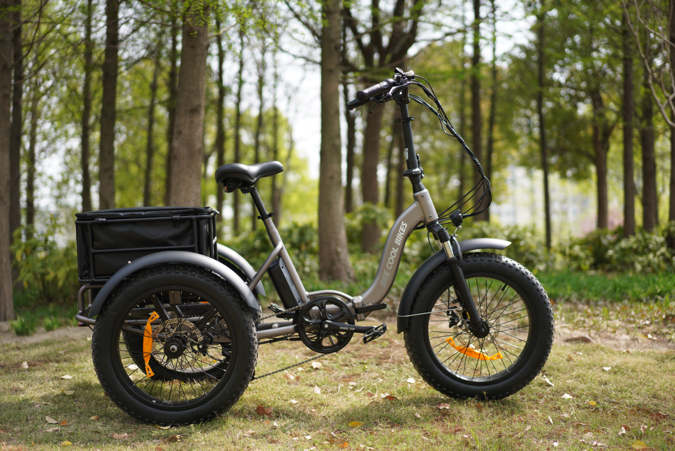 Bee Zipper Electric Trike