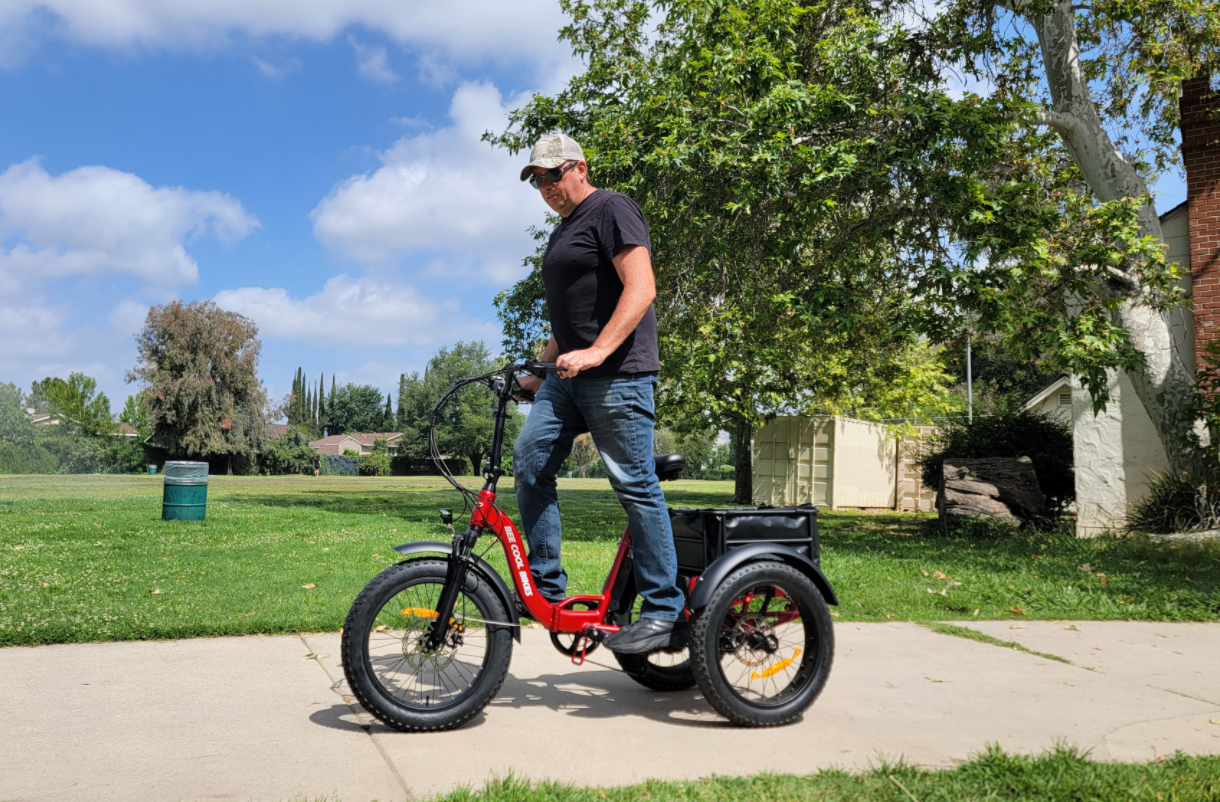 Top 10 eTrikes In 2025——Bee Zipper From BeeCool Bikes