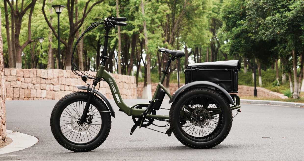 2025 Best Folding eTrike Bee Zipper