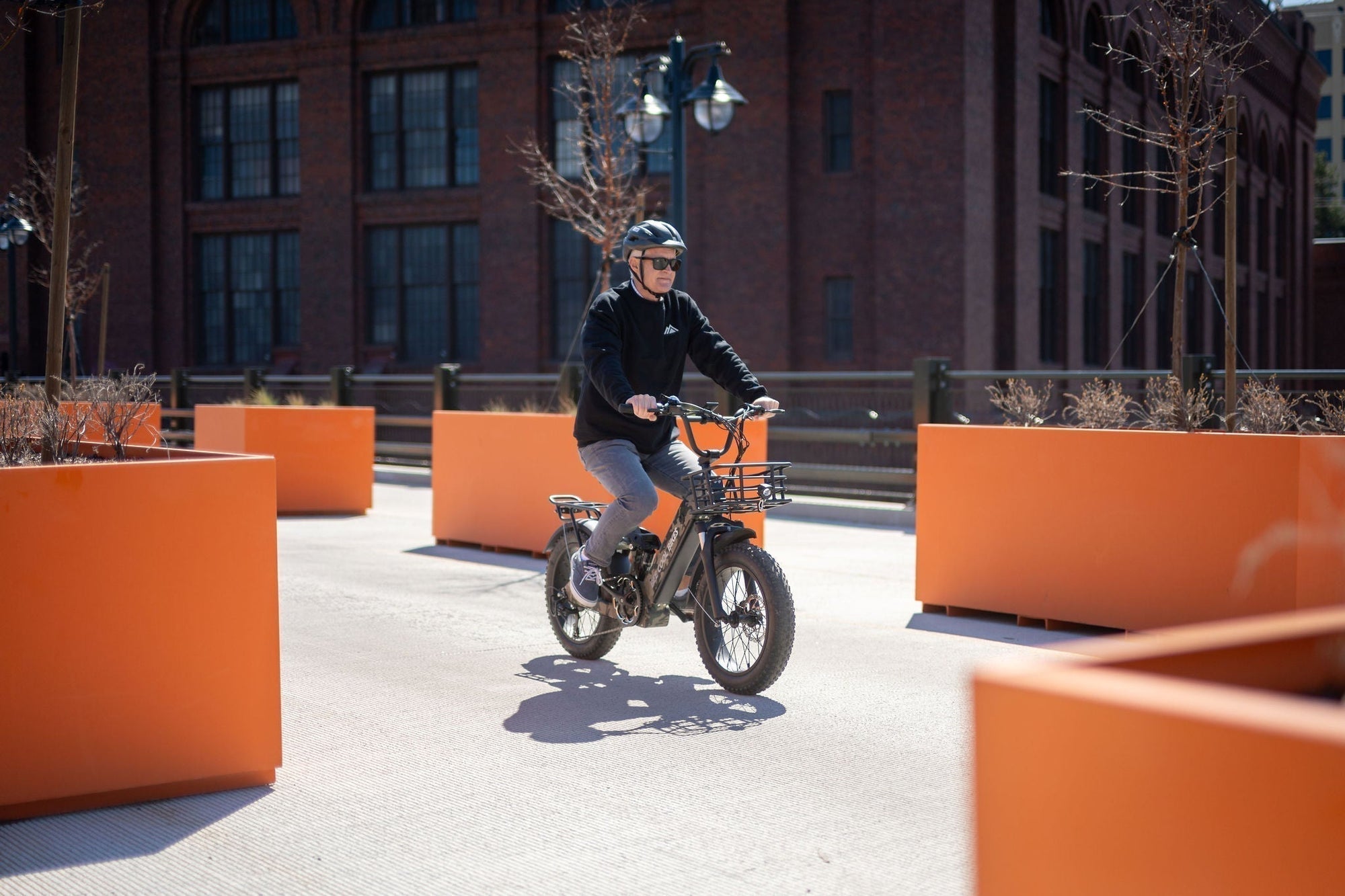 Bee Ranger Ebikes