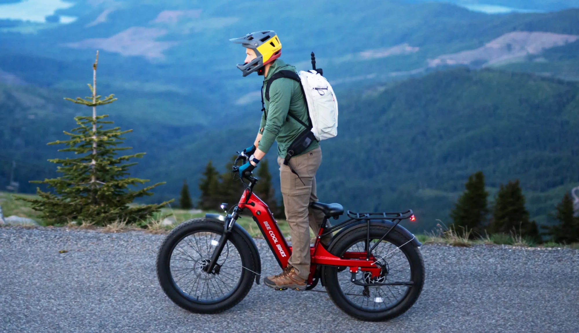Bee Pathfinder Step-Thru eBike with a low-step frame design for easy access, ideal for seniors and casual riders