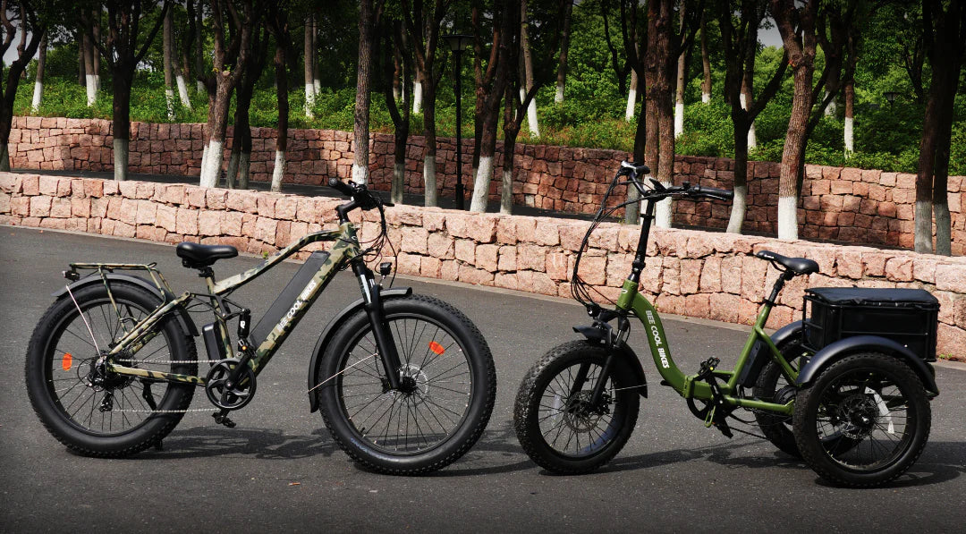 BeeCool Bikes Full Suspension ebikes & etrikes