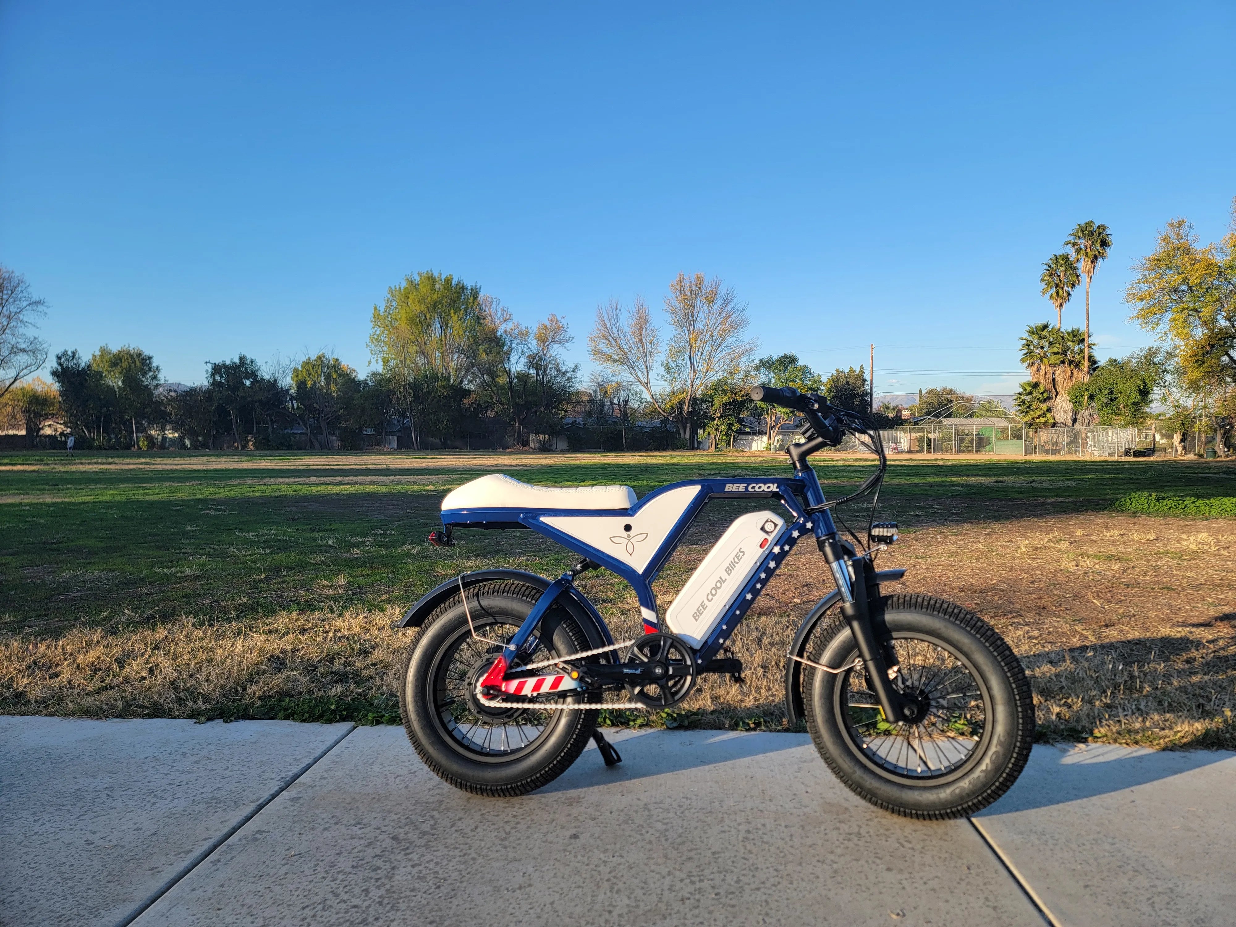 Bee Blazer Soft Taile Mini Ebike