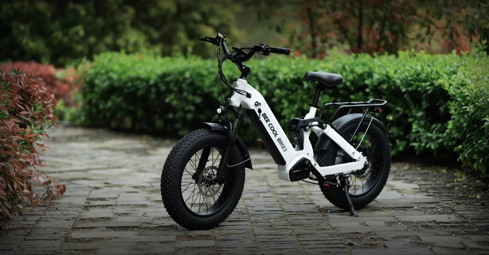 2025 best full suspension electric mountain ebike bee ranger