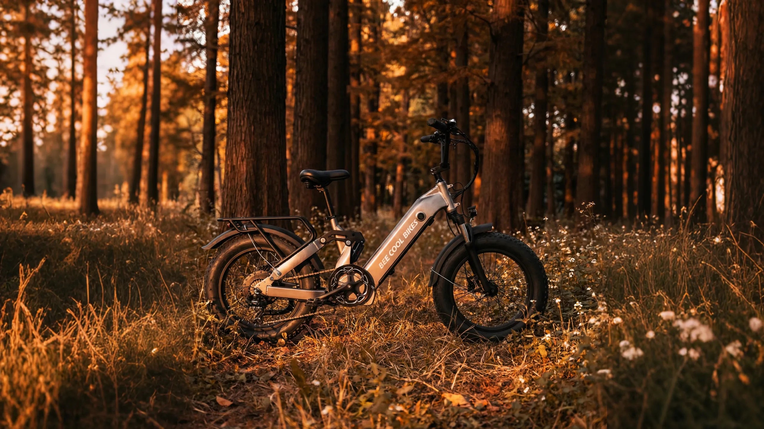 Slow Down and Ride Better: How E-Bikes Bring Calm Back to Everyday Life