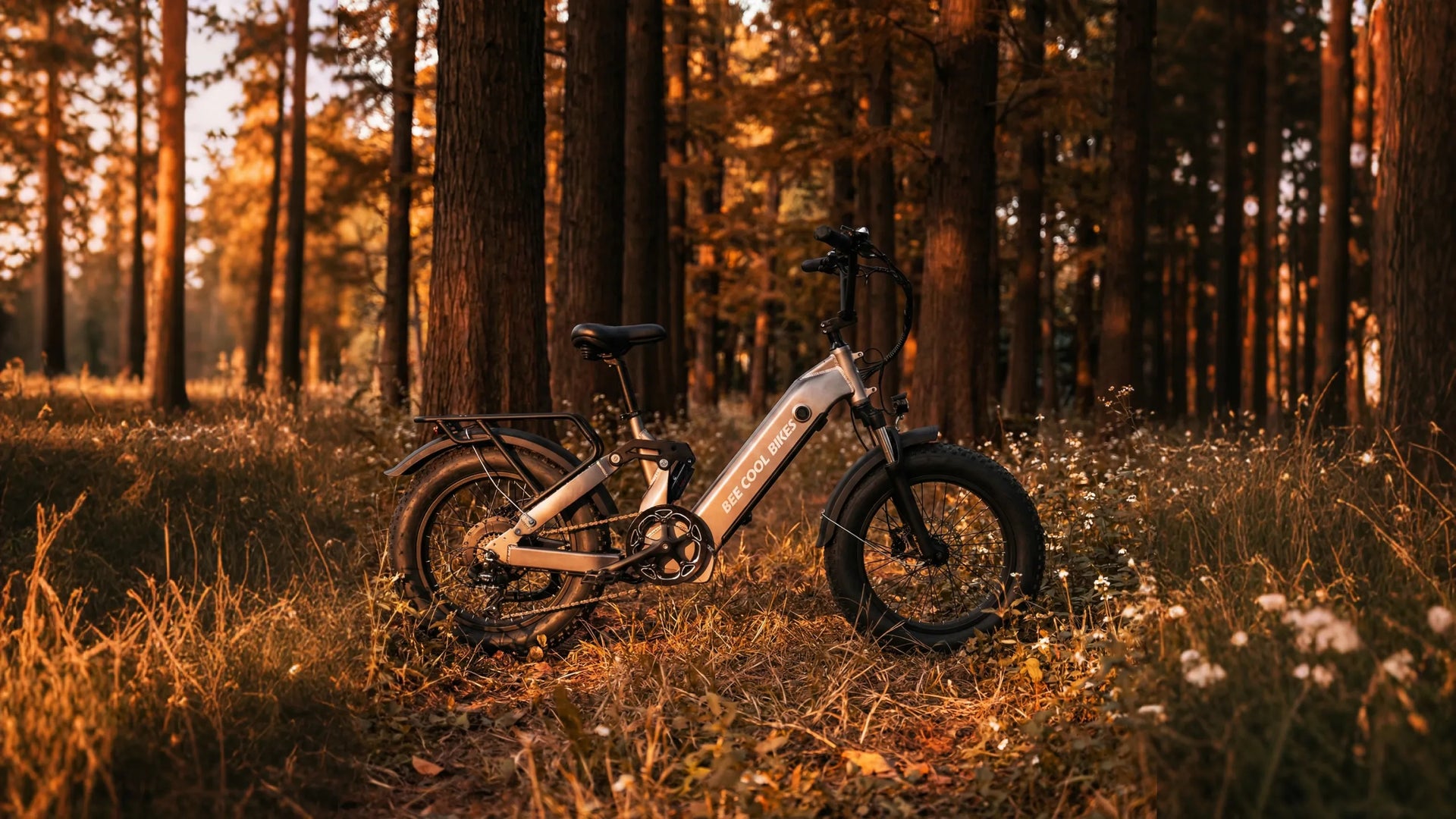 Slow Down and Ride Better: How E-Bikes Bring Calm Back to Everyday Life