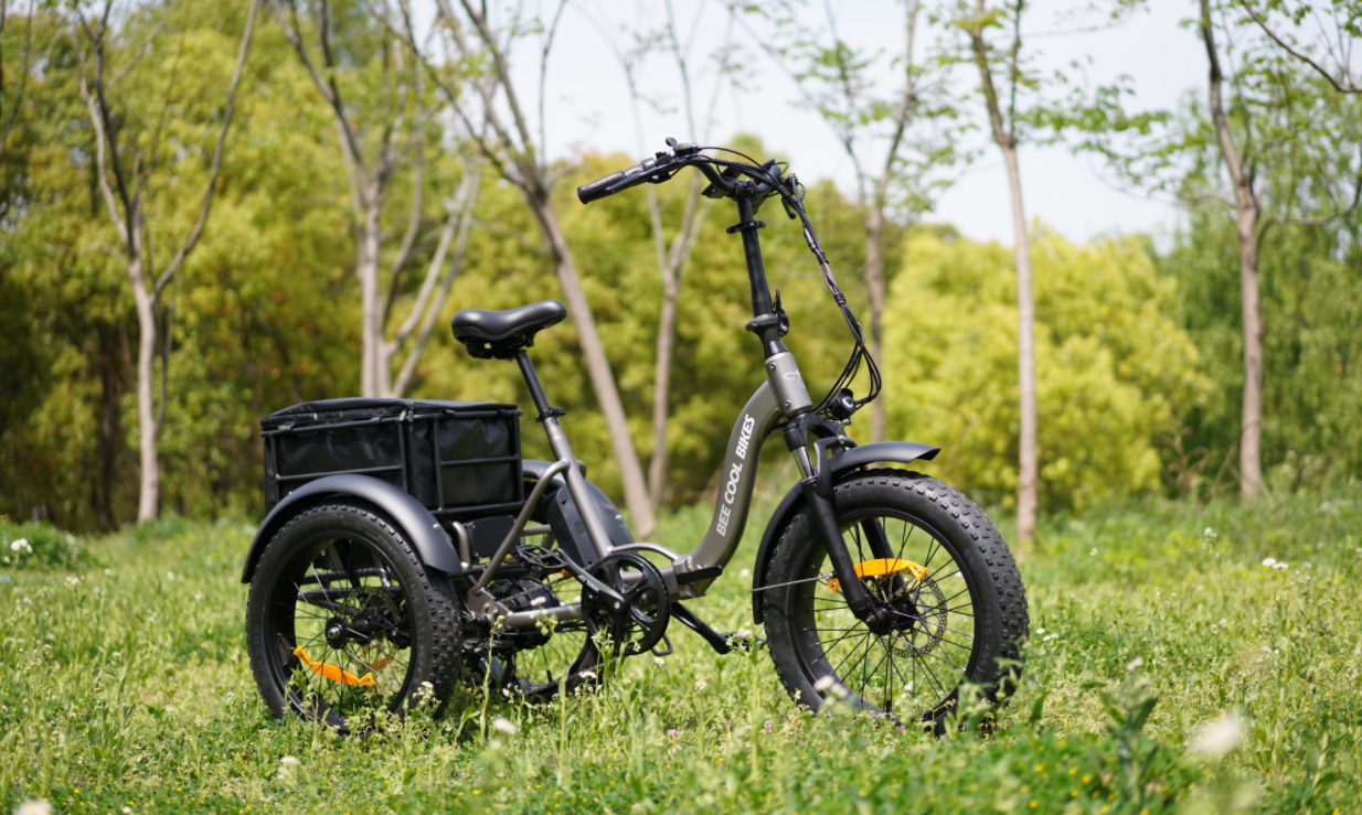 beecool bikes 2025 new etrike bee zipper