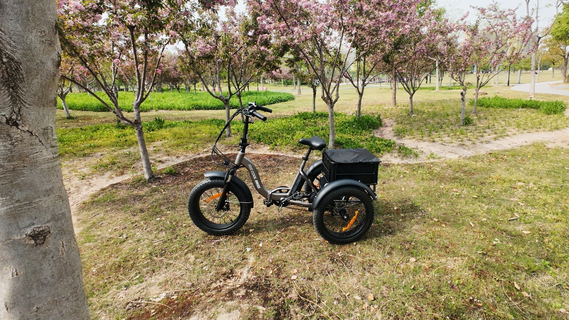 bee zipper etrike from beecool bikes best for summer cool rides