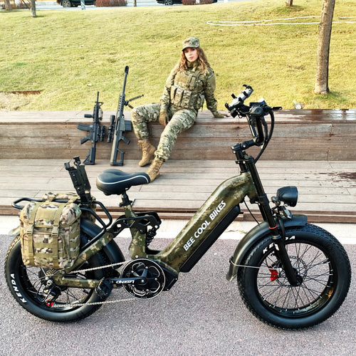 Mountain Electric Bikes