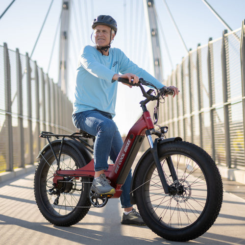 Bee Cool Bee Ranger E-Bikes | Soft Tail Long Range E-Bike