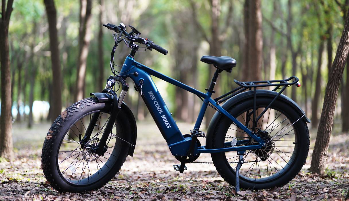 pedelecs & e-bikes Bee Pathfinder Ebike, Long Range Ebikes