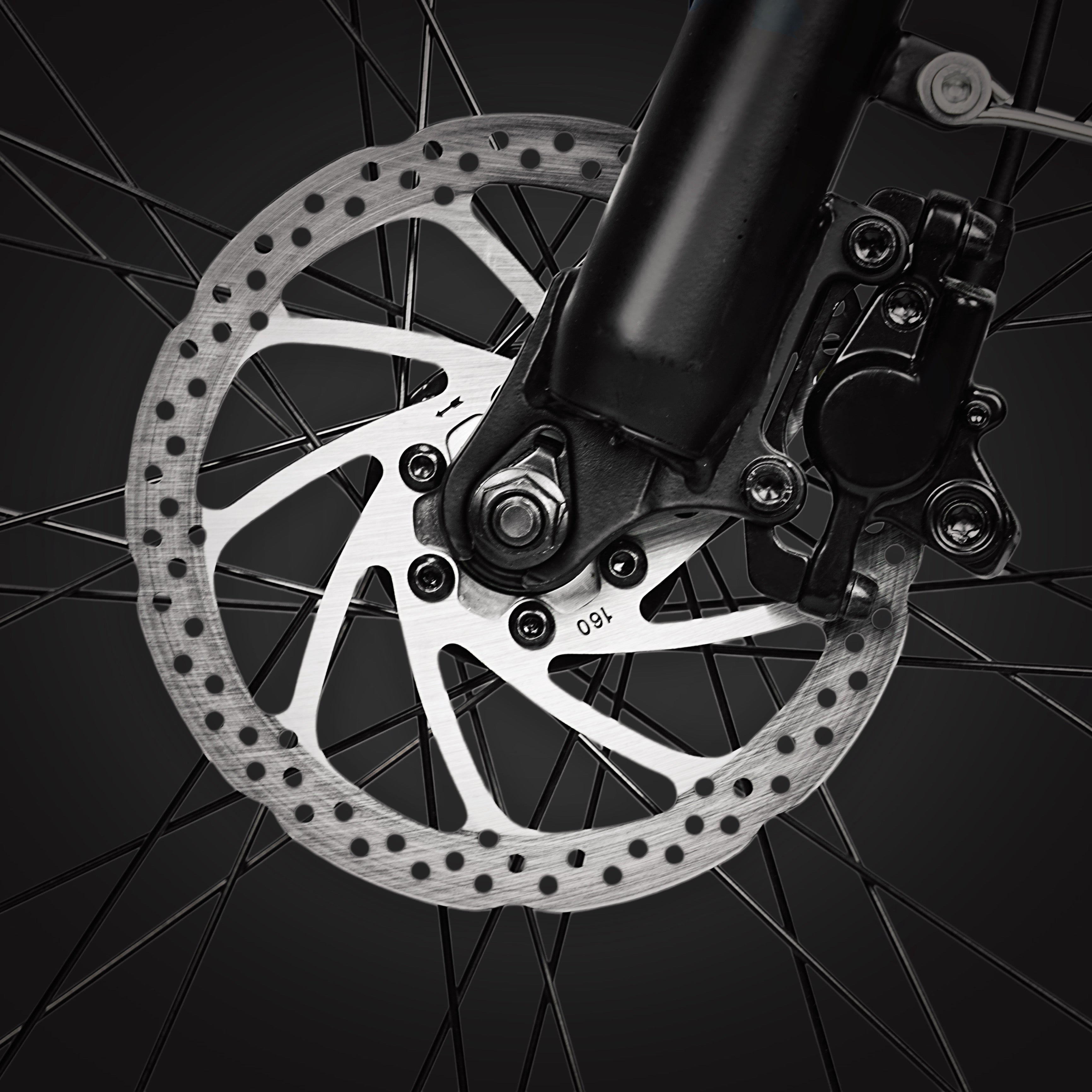 Dual Hydraulic Disc Brakes