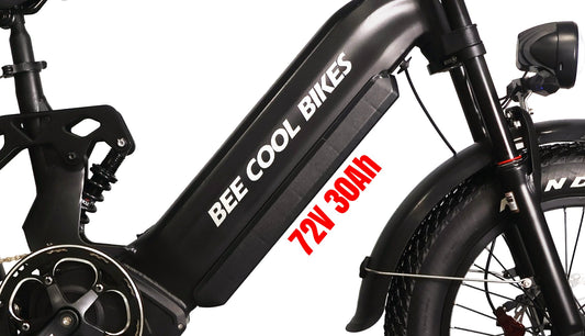 Ebike Battery (All Models Included)
