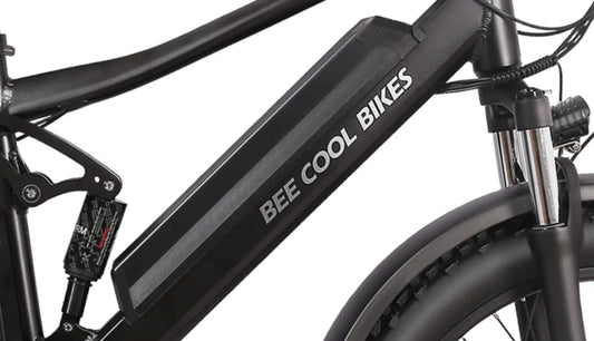 Ebike Battery (All Models Included)