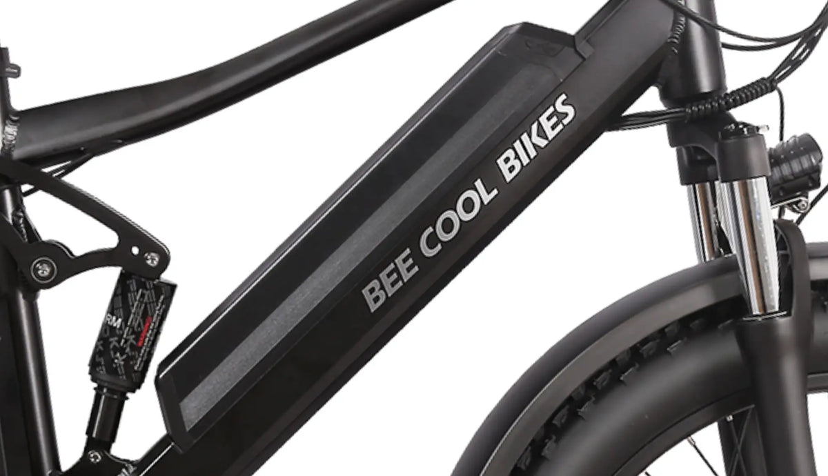 Ebike Battery (All Models Included)