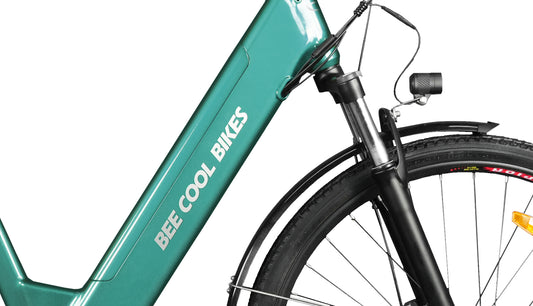 Ebike Battery (All Models Included)