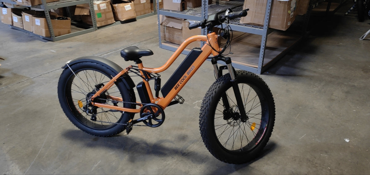 Refurbished Ebike (Local Pick-up Only)