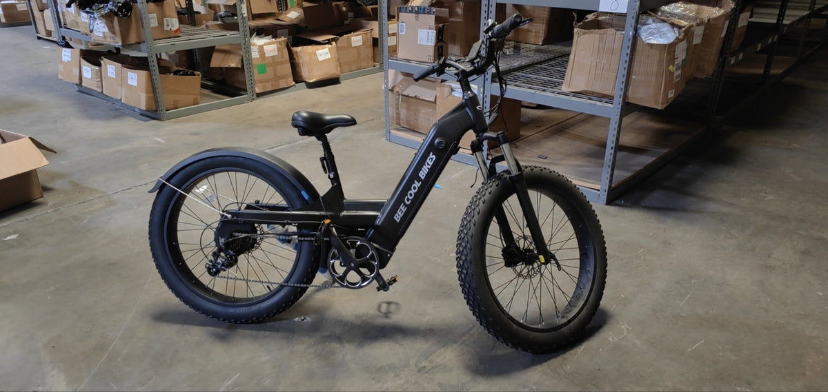 Refurbished Ebike (Local Pick-up Only)