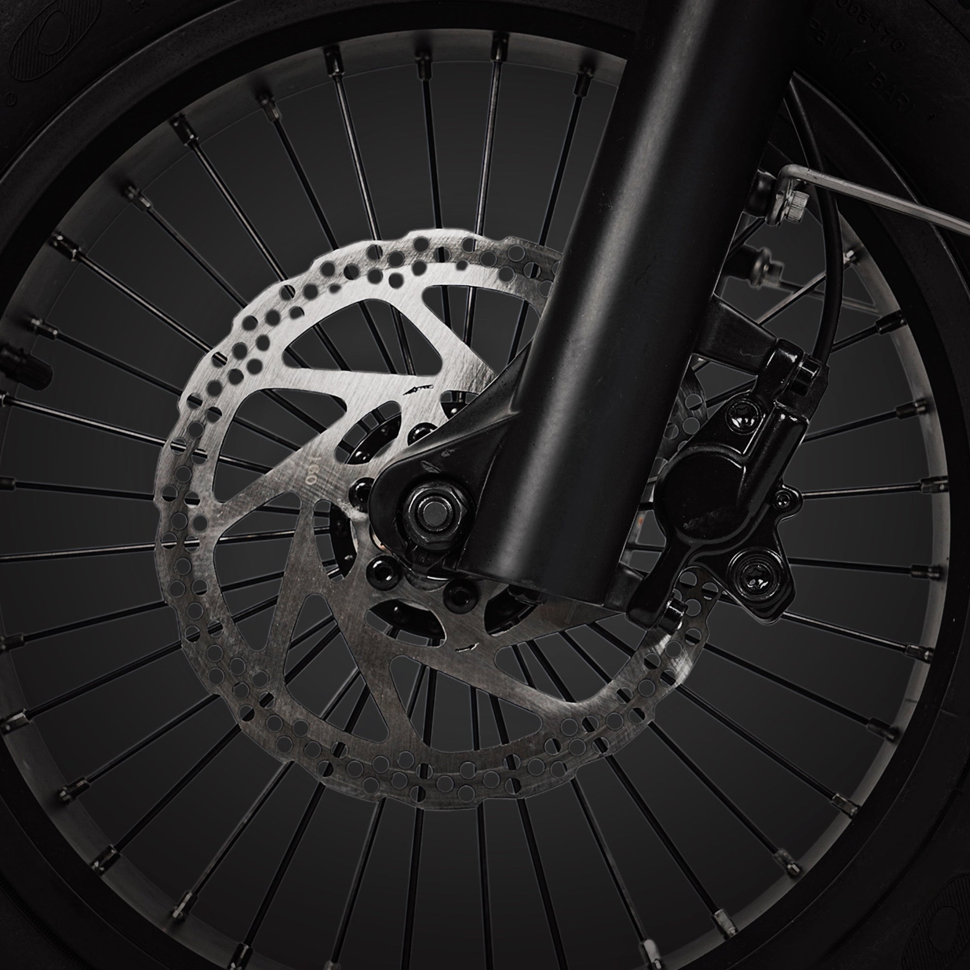 Dual Hydraulic Disc Brakes