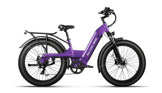 Refurbished Ebikes (Shipping Included)