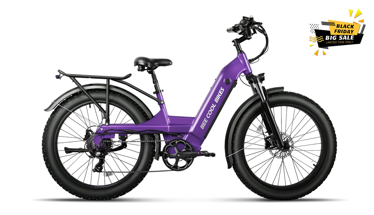 Bee Pathfinder Step-Thru