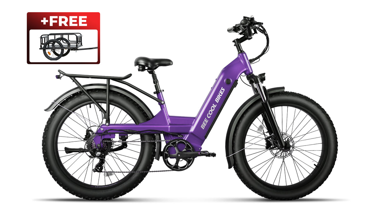 Bee Pathfinder Step-Thru