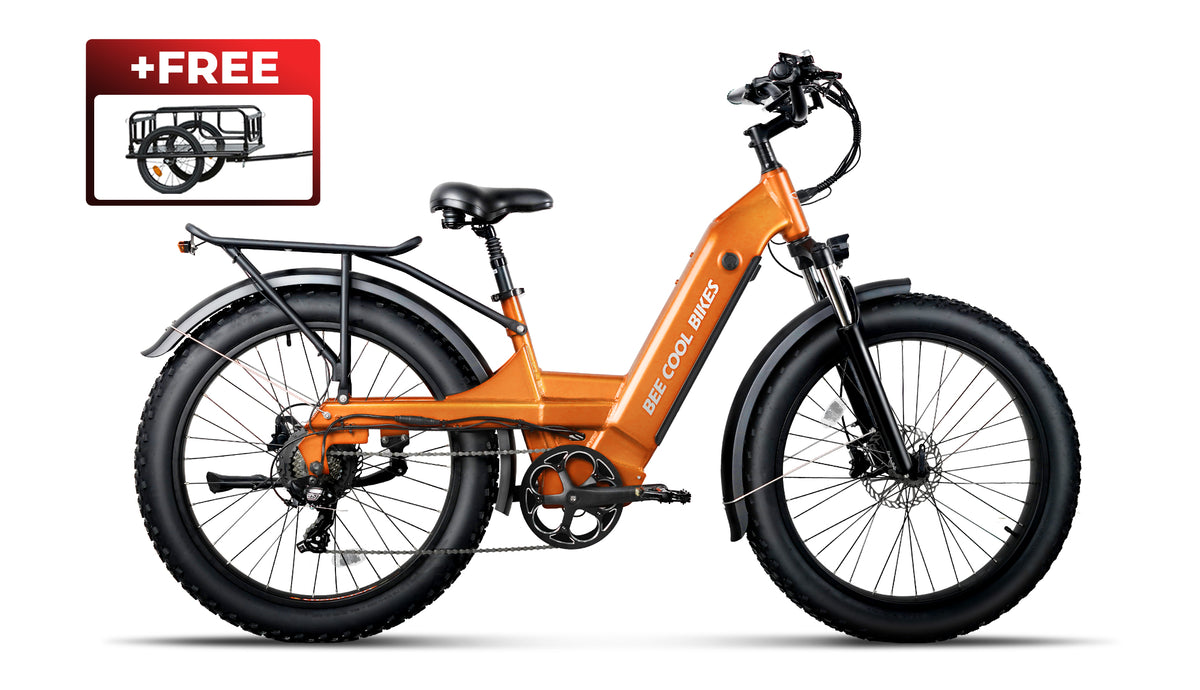 Bee Pathfinder Step-Thru