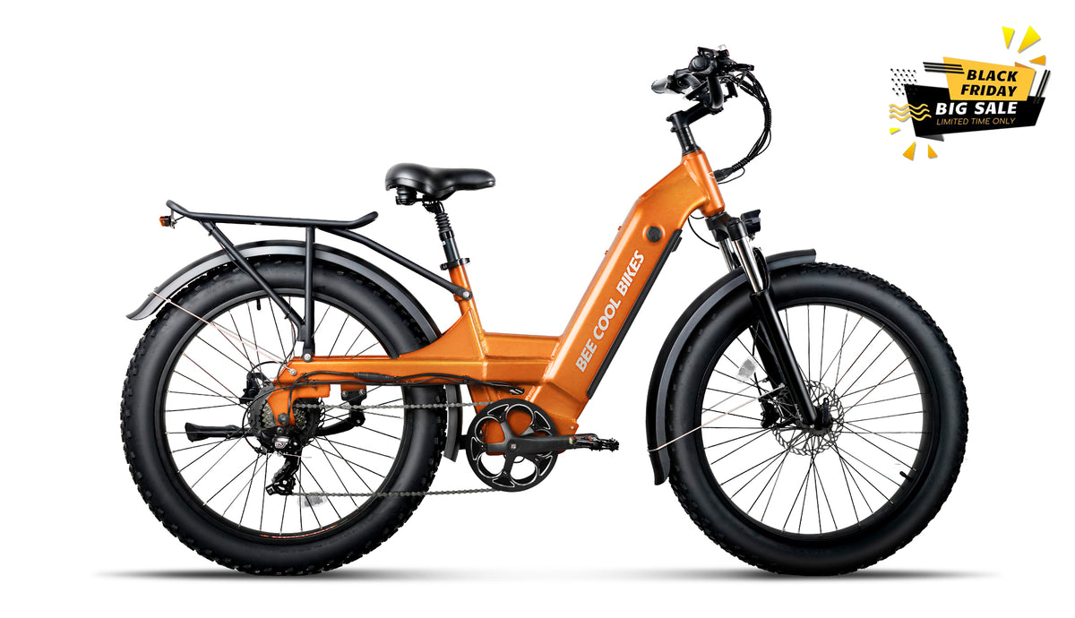 Bee Pathfinder Step-Thru