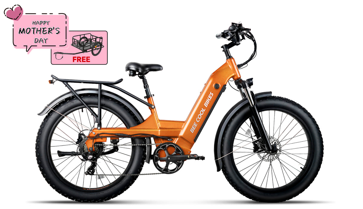 Bee Pathfinder Step-Thru