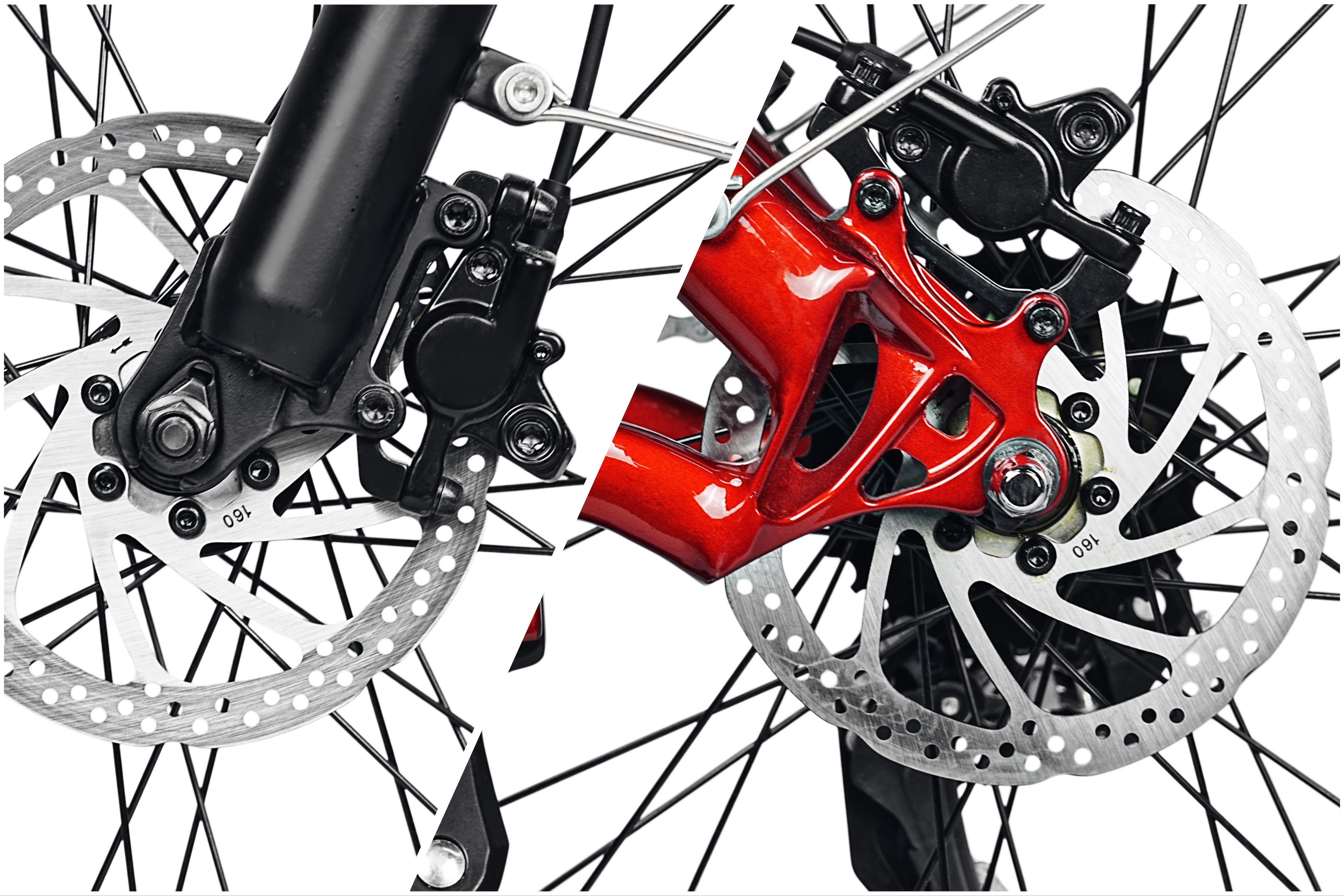 Dual Hydraulic Brakes