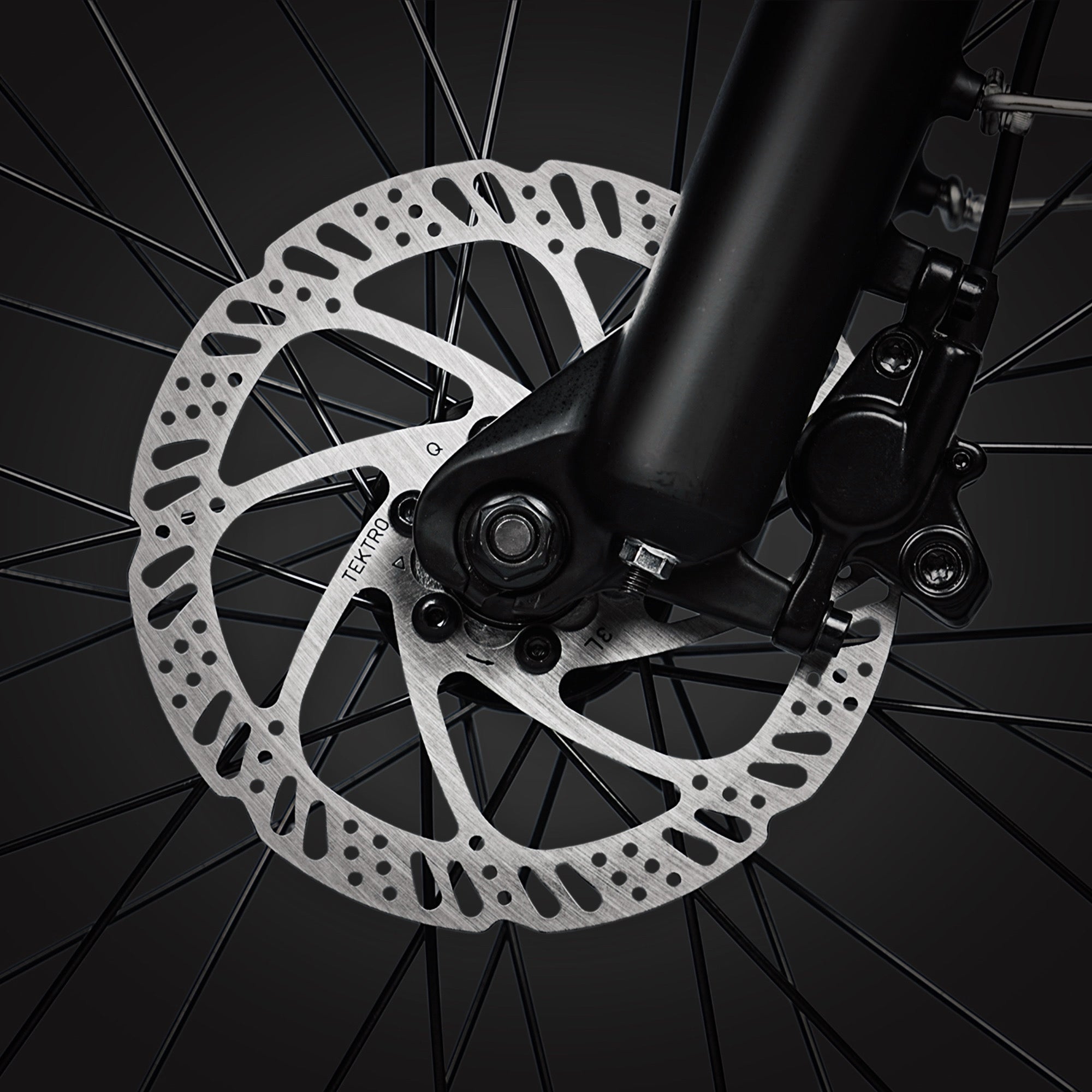 Dual Hydraulic Disc Brakes