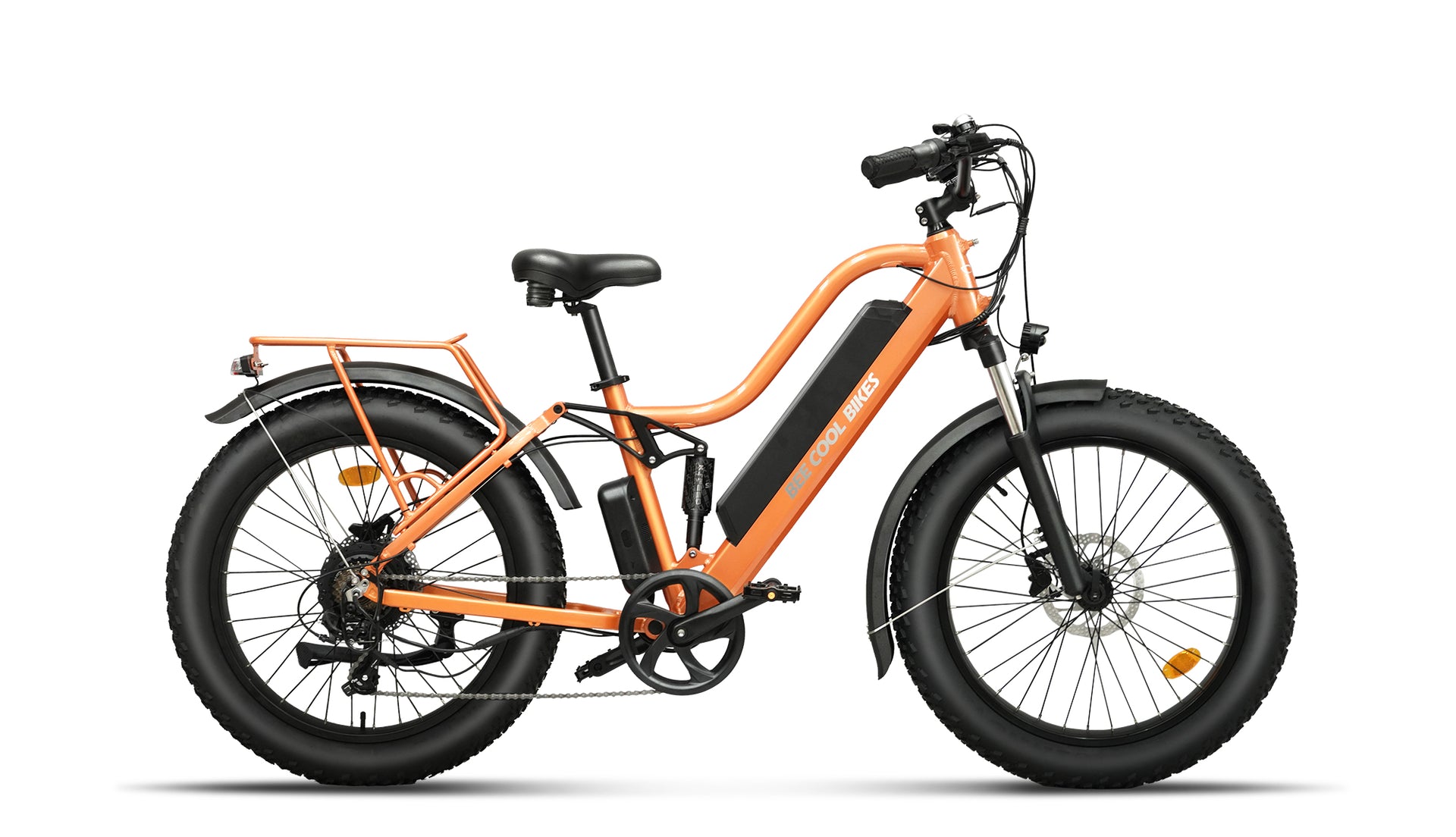 Bee Explorer Lite