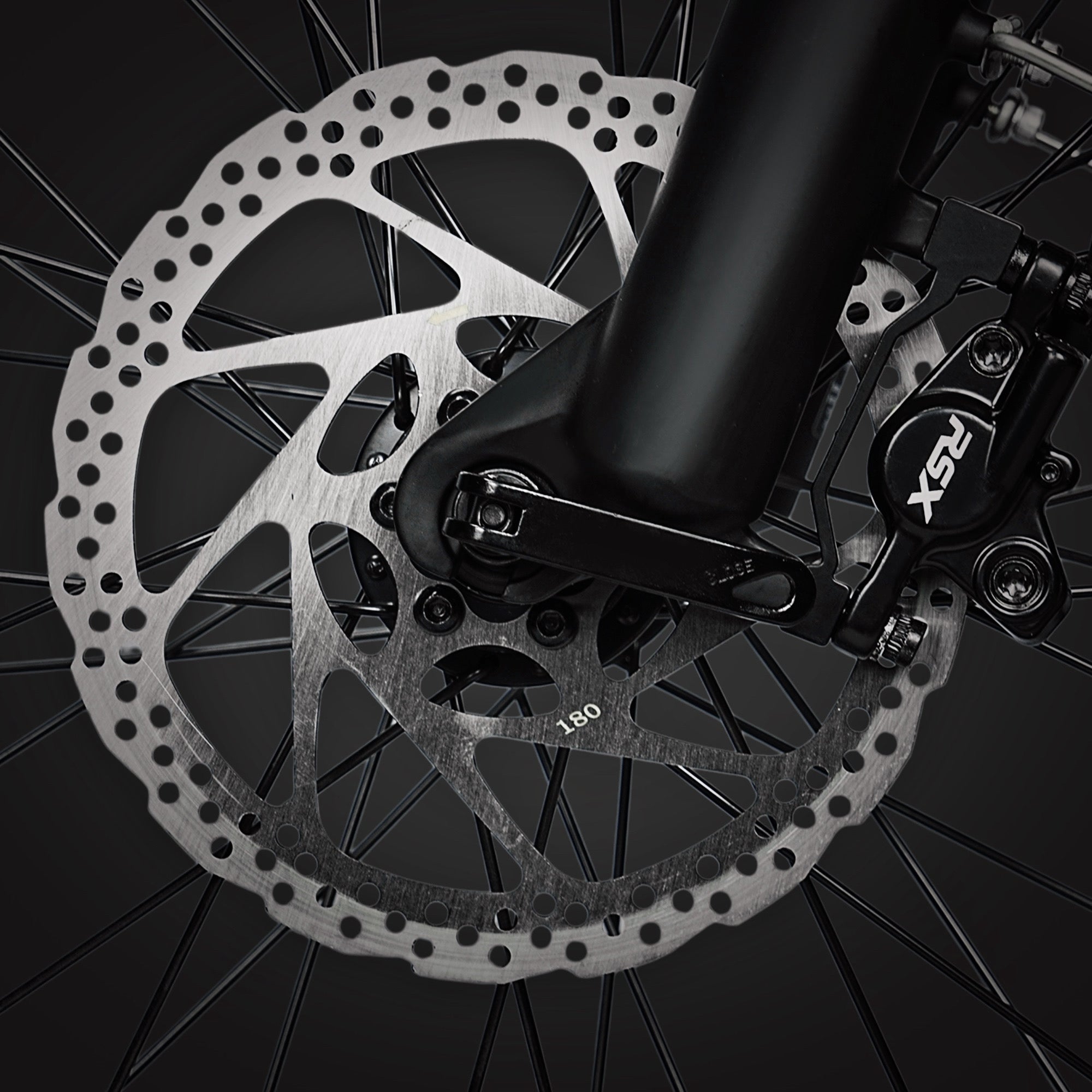 Dual Hydraulic Disc Brakes