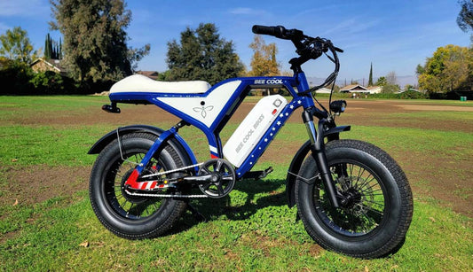 A Life Time Cross Age Ebike - Bee Blazer